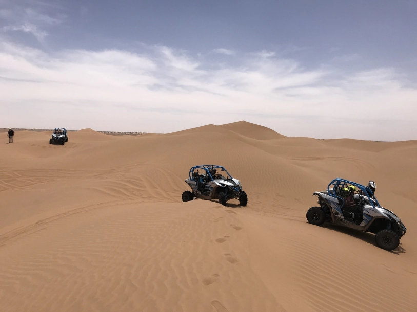 Oasis et dunes du Sahara en buggy