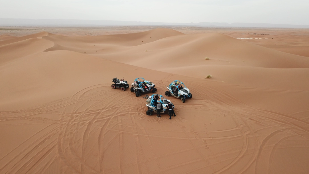 Oasis et dunes du Sahara en buggy