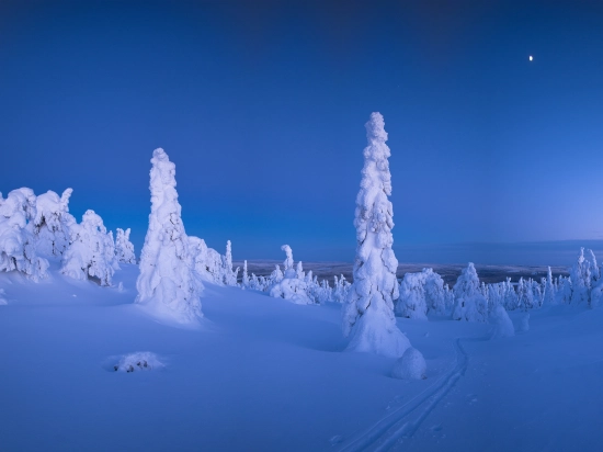 Jour 4 : Saarikoski - Karesuando 
80 Km