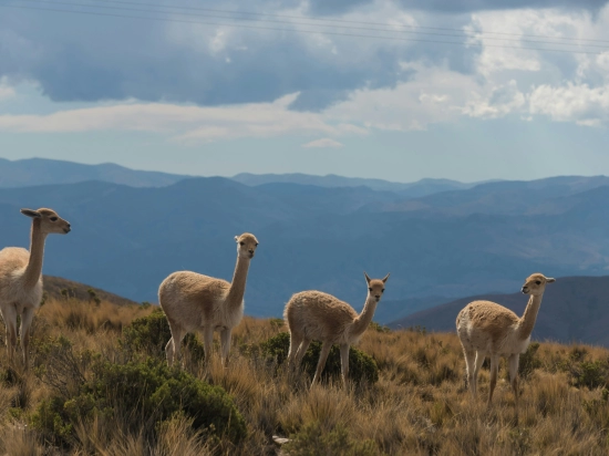 Day 2: From Salta to Iruya (290 km)