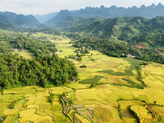 Lam Thuong – Bao Yen