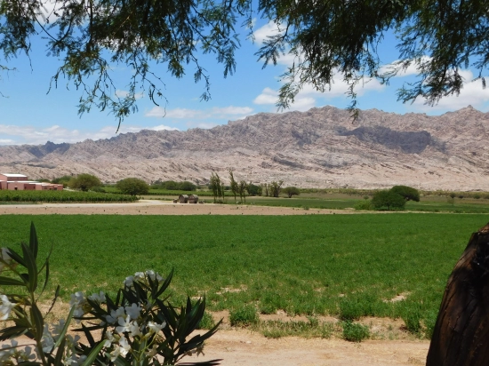 Day 7: From San Antonio De Los Cobres to Cachi (145 km)