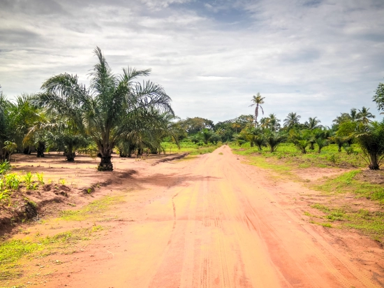 Day 2 : Lomé – Vogan – Possotomé (Benin) (160 km)